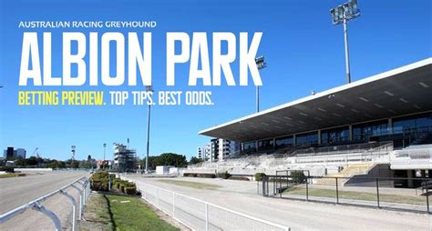 albion park greyhound fields